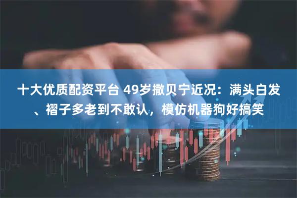 十大优质配资平台 49岁撒贝宁近况:满头白发、褶子多老到不敢认,模仿机器狗好搞笑