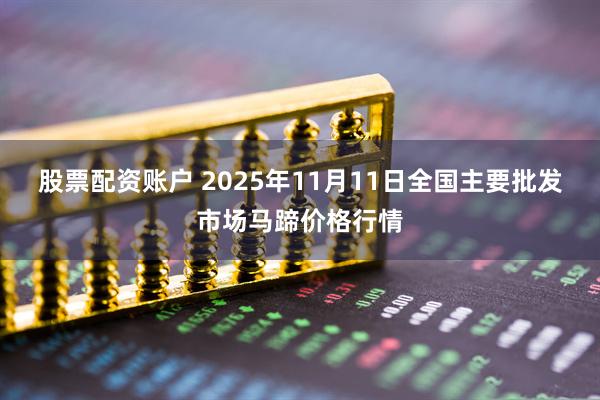 股票配资账户 2025年11月11日全国主要批发市场马蹄价格行情